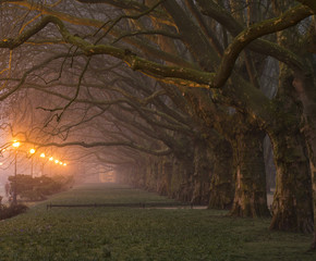 Aleja nocą © Mike Mareen