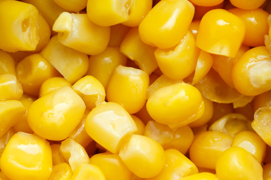 Close up yellow sweet corn