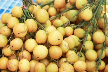 Marian plum fruit - asia fruit