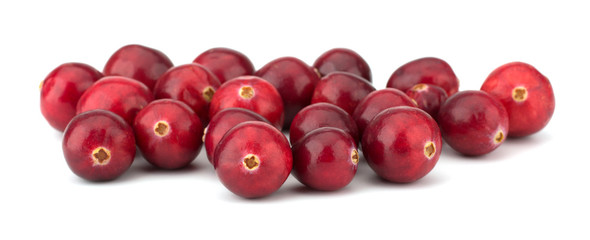Cranberry isolated on white background closeup