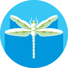 Dragonfly icon