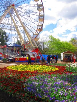 Flower garden and ferris wheel in Australia