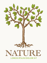 Obraz premium Tree Nature Symbol Vector template