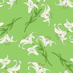 Vector Seamless Pattern of Lily on Green Background