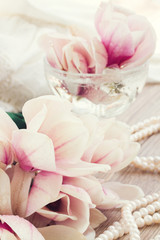 Fototapeta na wymiar magnolia flowers with pearls