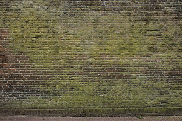 Hintergrund bewachsene Backsteinwand