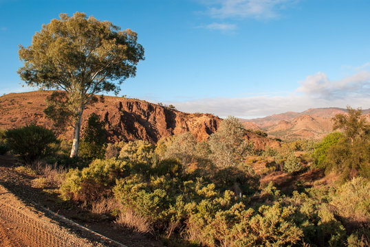 Landscape in the Australian outback