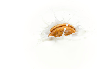 Splashing Cookie