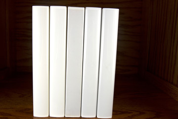 Blank white books  on shelves