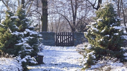 winter in the garden
