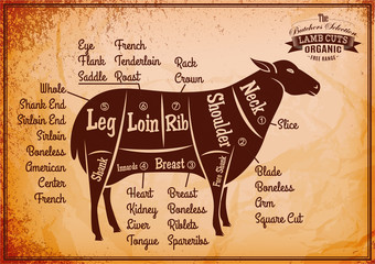 poster with detailed diagram cutting lamb © 111chemodan111