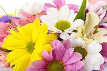 Beautiful flowers close up