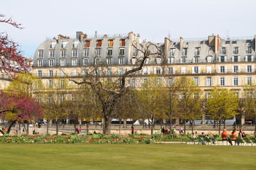 Jardin des Tuileries, Paris