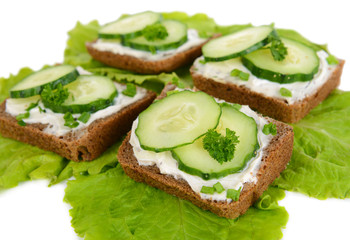 Delicious canapes close-up