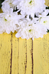 Beautiful chrysanthemum flowers on wooden table close-up