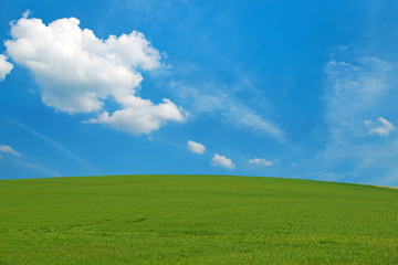 prairie avec ciel bleu