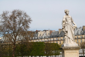 Fototapeta na wymiar Jardin des Tuileries, Paris