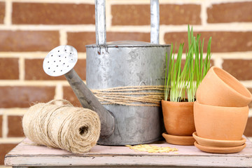 Green grass in flowerpots and oat seeds on brick wall