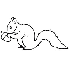 Eichhörnchen isst Nuss