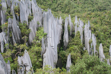 Pinnacles - Borneo