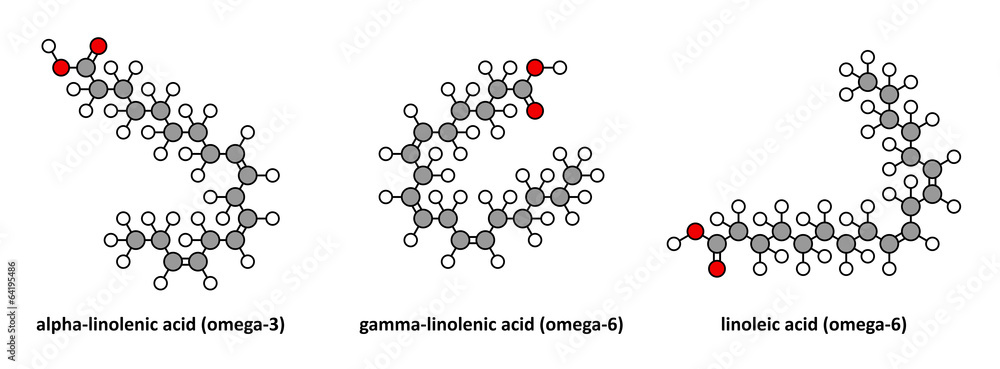 Poster Alpha-linolenic (omega-3, ALA), gamma-linolenic (omega-6), ...