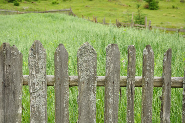 old wooden fence with moss