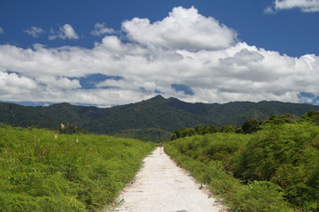 Fototapeta na wymiar Bario - Borneo