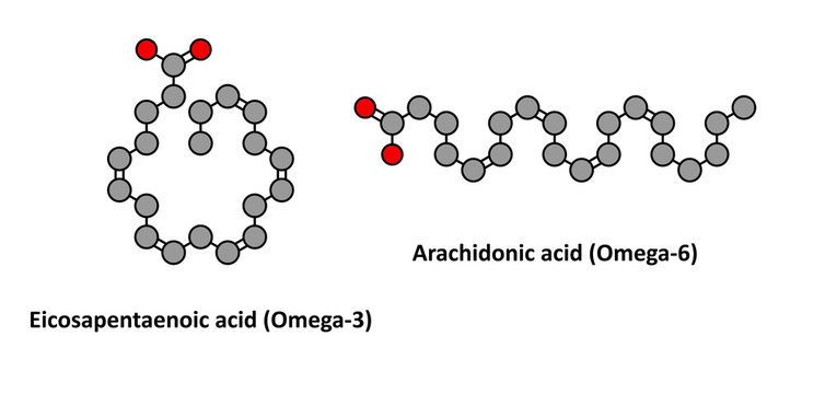 Eicosapentaenoic Acid (EPA, Omega-3) And Arachidonic Acid (AA).