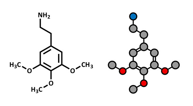 Mescaline psychedelic drug molecule. Present in peyote cactus.