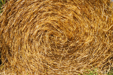 Spiral of yellow haystack