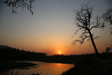 Fototapeta na wymiar Sonnenuntergang Dschungel