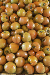 Tomatoes greengrocer