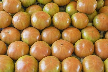 Group tomatoes