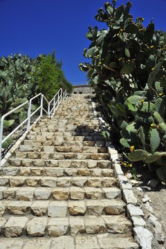 Stairway over the mountain