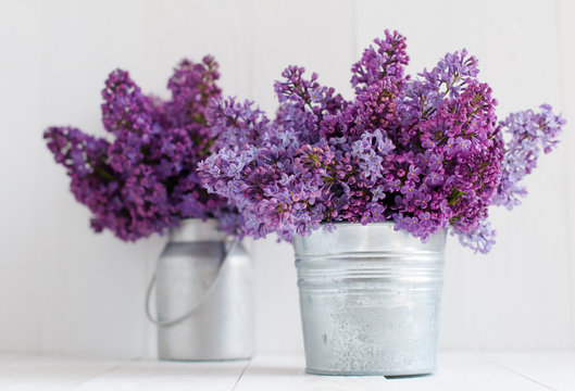 Two bouquet of lilac flowers