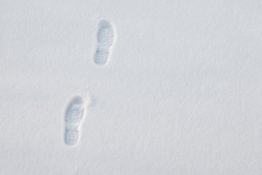 Winter Footprints