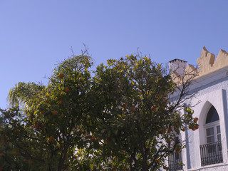 Naklejka premium Typical Houses in Nerja Andalucia Spain