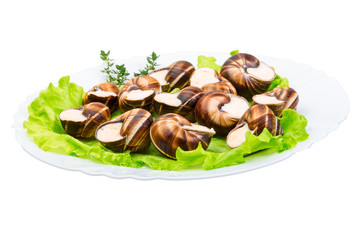 Escargot