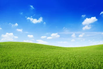 Hill Scene