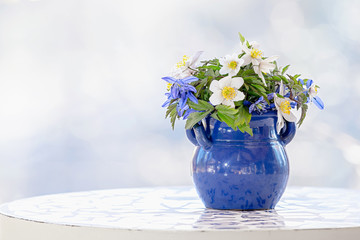 Springflowers in a pot on a table