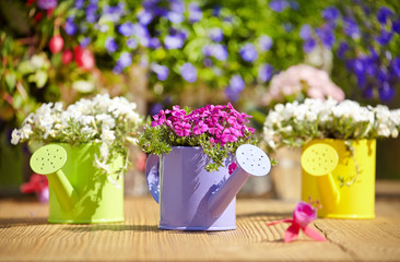 Outdoor gardening tools on old wood table