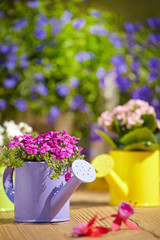 Outdoor gardening tools on old wood table