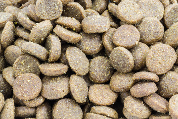 Fototapeta na wymiar close-up Dog food background