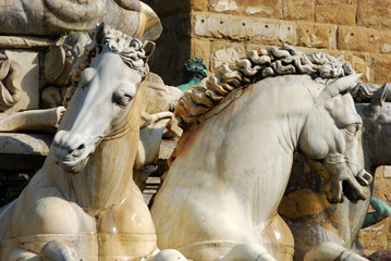 Fototapeta na wymiar The Statue of Piazza della Signoria in Florence - Tuscany - Ital