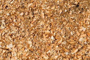 Wooden shavings background