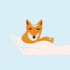 Little fox cupped in a hand
