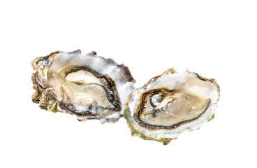 Two fresh oysters
