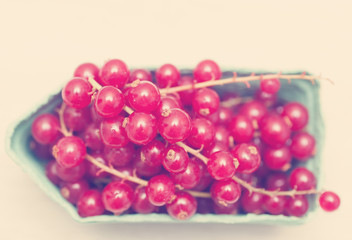 fresh red currants in a glass jar on the table, in soft focus, r