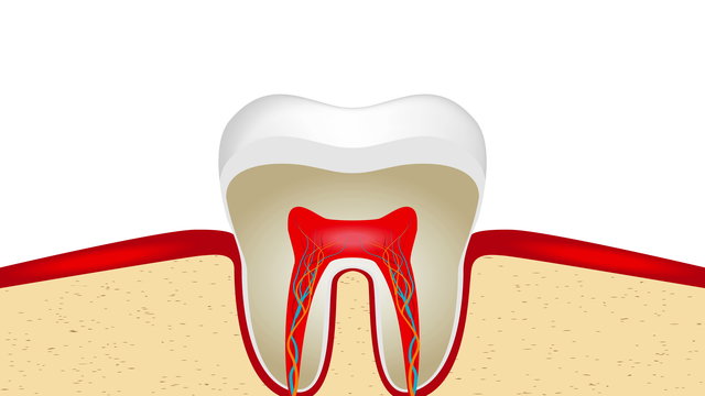 UltraHD (4k) video of pulsation of sensitive tooth enamel