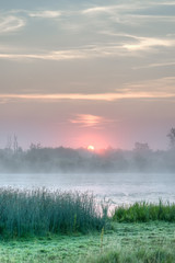 Fototapeta premium Sunrise cresting tree tops